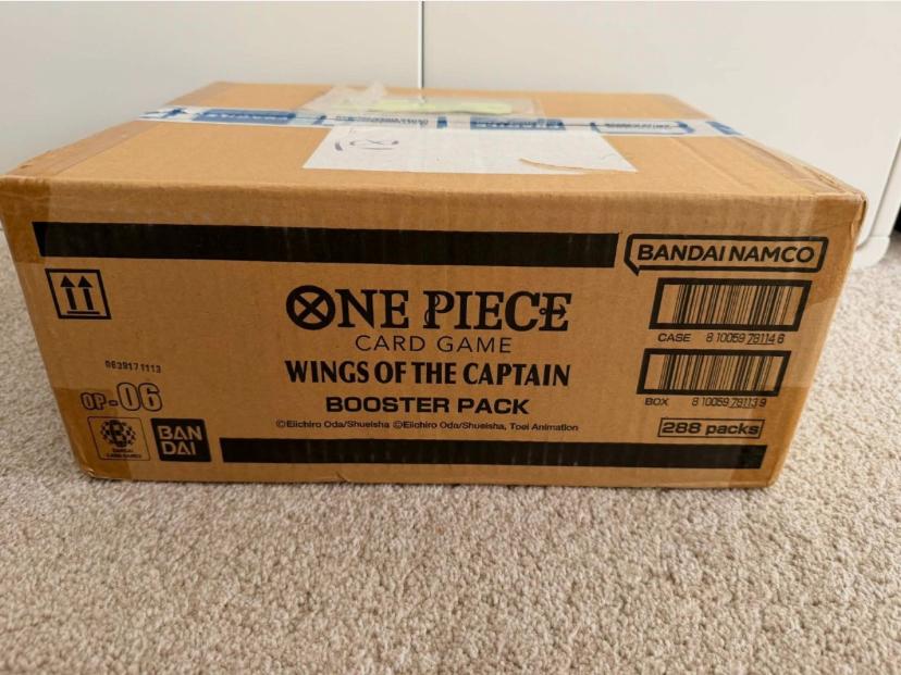 OP-06 case